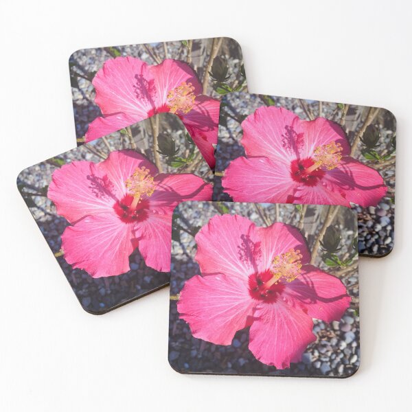 Artikelvorschau, Hochauflösender Hibiskus entworfen und verkauft von StudioRosebud.