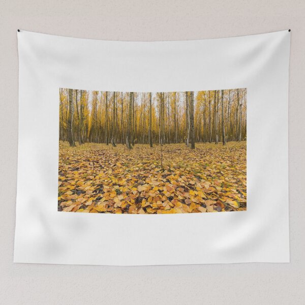 Item preview, Poplar Tree Fall Leaves in Boardman Oregon USA designed and sold by davidgnsx1.