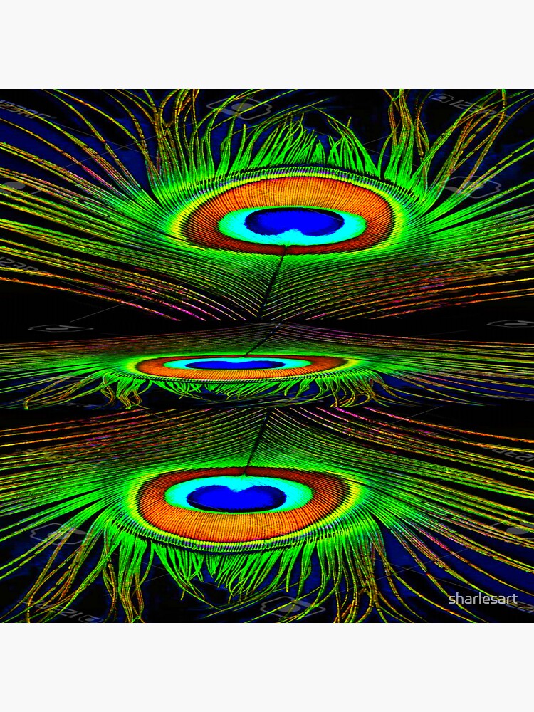 "FEATHERY GREEN COLOR PEACOCK FEATHER DESIGN" Sticker for Sale by