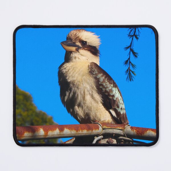 Item preview, The kookaburra on top of the Line! designed and sold by Mickangelhere.