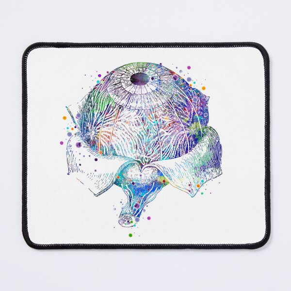 Item preview, Eye Anatomy Watercolor designed and sold by LotusGifts.
