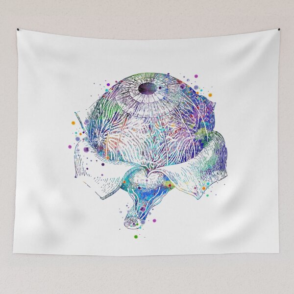 Item preview, Eye Anatomy Watercolor designed and sold by LotusGifts.