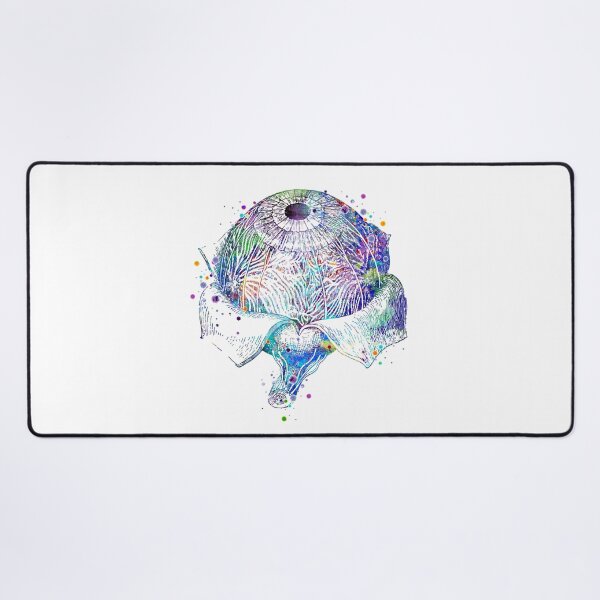 Item preview, Eye Anatomy Watercolor designed and sold by LotusGifts.