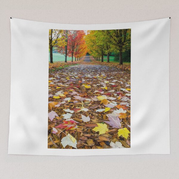 Item preview, Hiking Trail in the Park during Fall Season USA designed and sold by davidgnsx1.