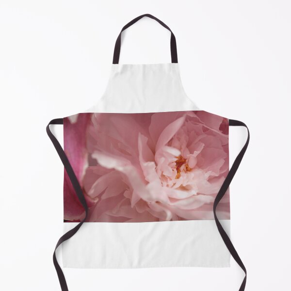 Aperçu de l'œuvre Soft Pink Petals créée et vendue par elm321.