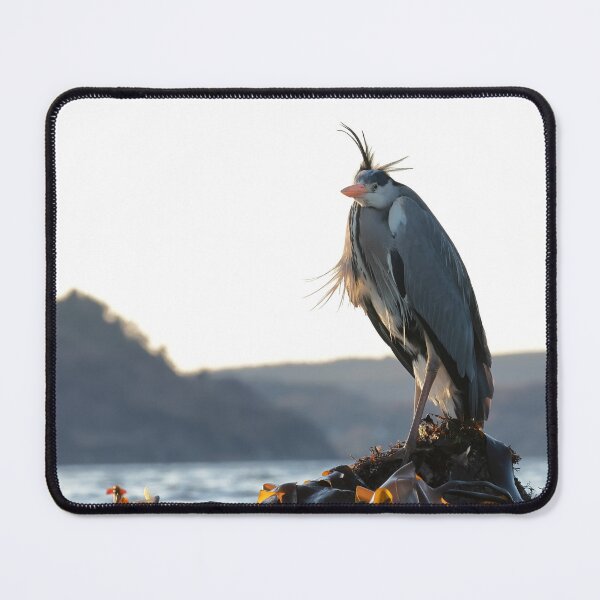 Item preview, Great blue heron designed and sold by chanonry.