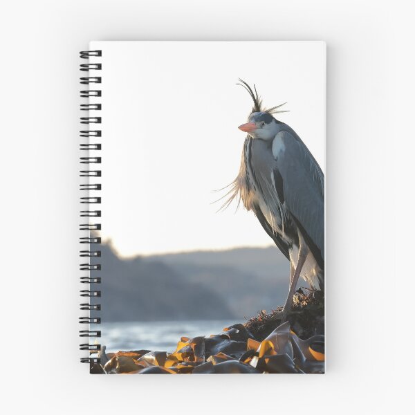 Item preview, Great blue heron designed and sold by chanonry.