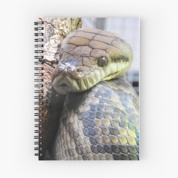 Item preview, Amethystine Python designed and sold by kirstybush.