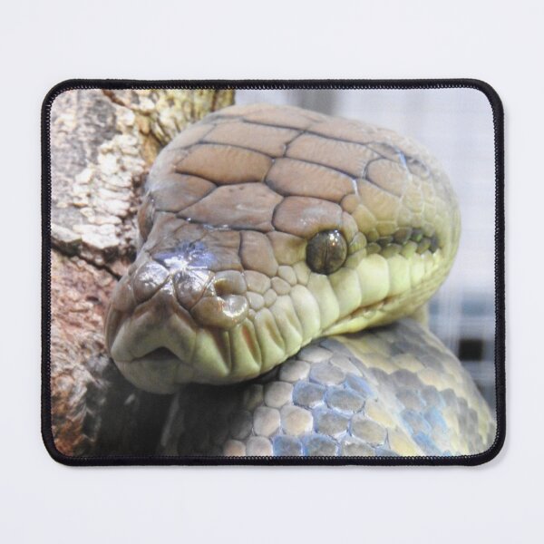 Item preview, Amethystine Python designed and sold by kirstybush.