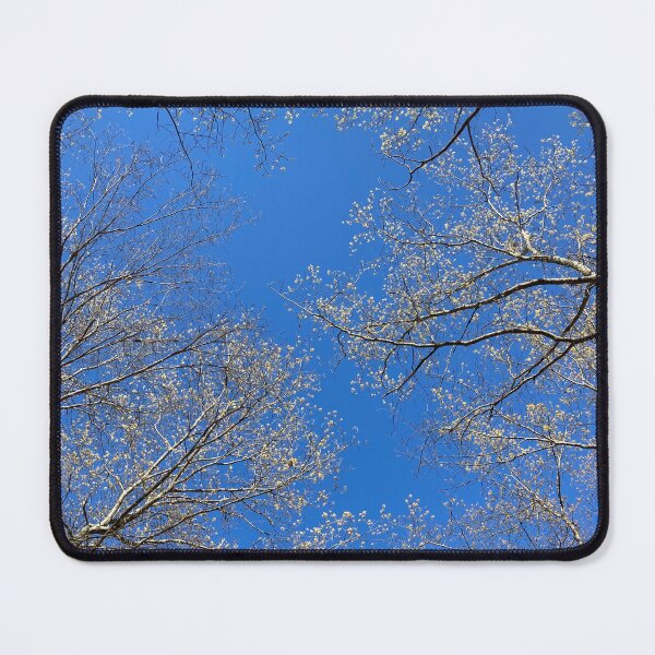 Item preview, Trees Blooming In Spring designed and sold by Rachel Boucher.