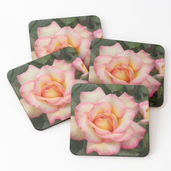 Artikelvorschau, Pink and Yellow Roses entworfen und verkauft von elm321.