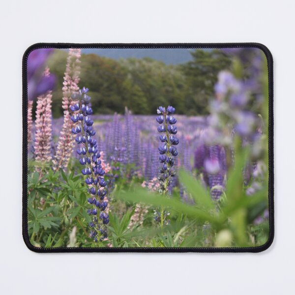Item preview, Lupins in Fiordland National Park, New Zealand designed and sold by elm321.
