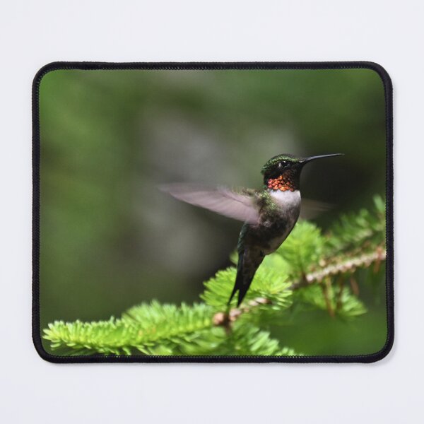 Item preview, Hummingbird 2 designed and sold by KBarrett-ForAwe.