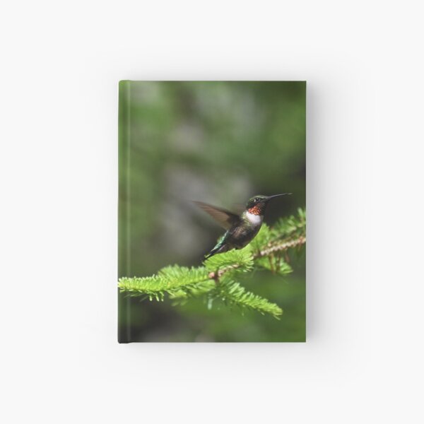 Hummingbird 3 Hardcover Journal