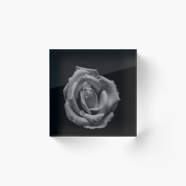 Item preview, Monochrome rose designed and sold by themonastery.