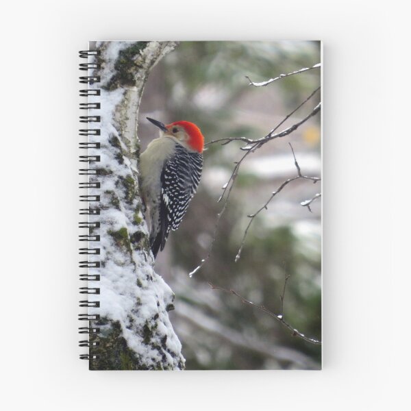 Item preview, Male Red-bellied Woodpecker in a Snowy Tree designed and sold by Debbie Center.