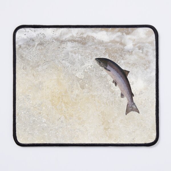 Item preview, Large salmon leapin on waterfall designed and sold by chanonry.