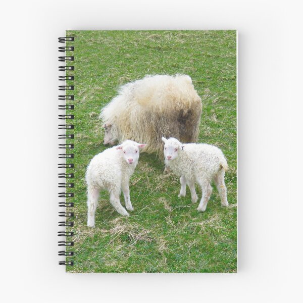 Item preview, Lambs and sheeps designed and sold by AHELENE.