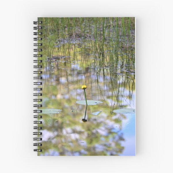 Artikelvorschau, Lilly Pads entworfen und verkauft von KBarrett-ForAwe.