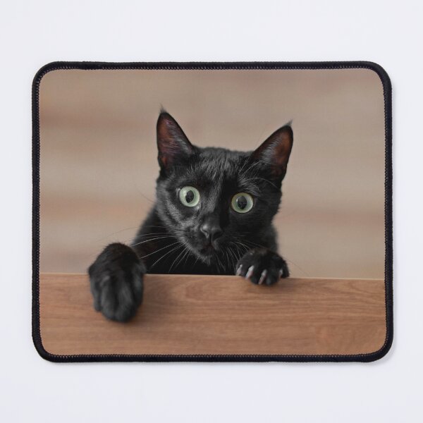 Item preview, Cat designed and sold by Fox Big Shop.