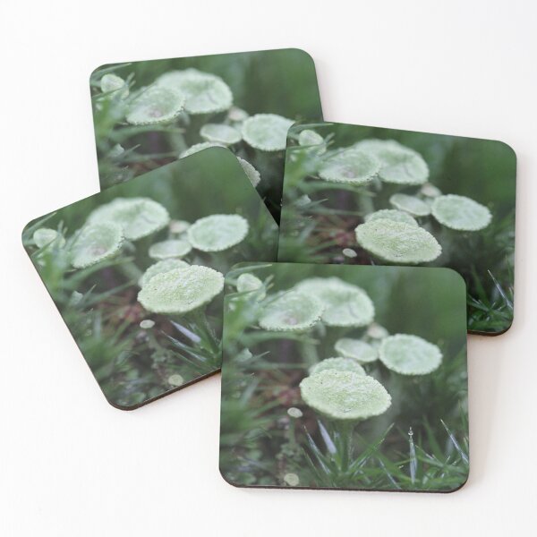 Item preview, Little Green Stools designed and sold by cuprum.