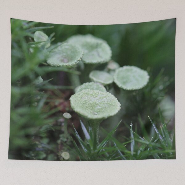 Item preview, Little Green Stools designed and sold by cuprum.