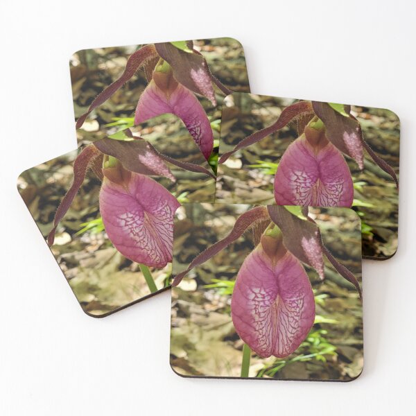 Item preview, Pink Lady Slipper 2 designed and sold by KBarrett-ForAwe.