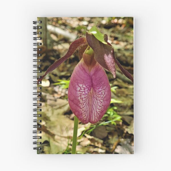 Item preview, Pink Lady Slipper 2 designed and sold by KBarrett-ForAwe.