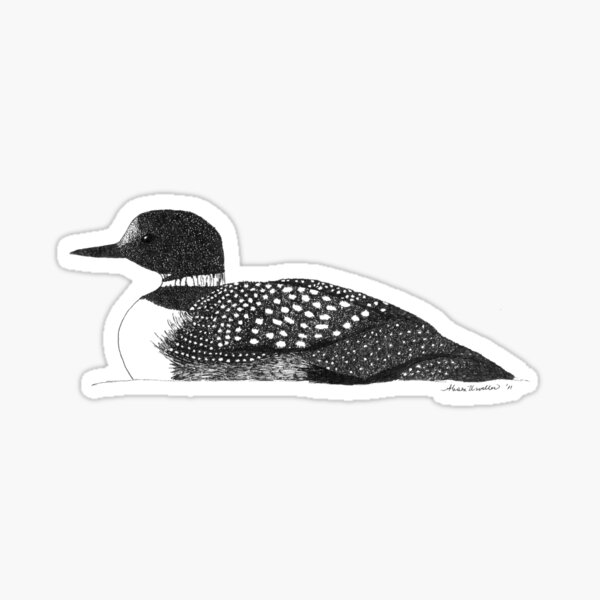 Common Loon Sticker