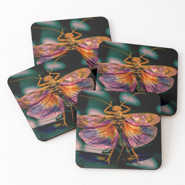 Item preview, Fly on the wall designed and sold by Teniche.