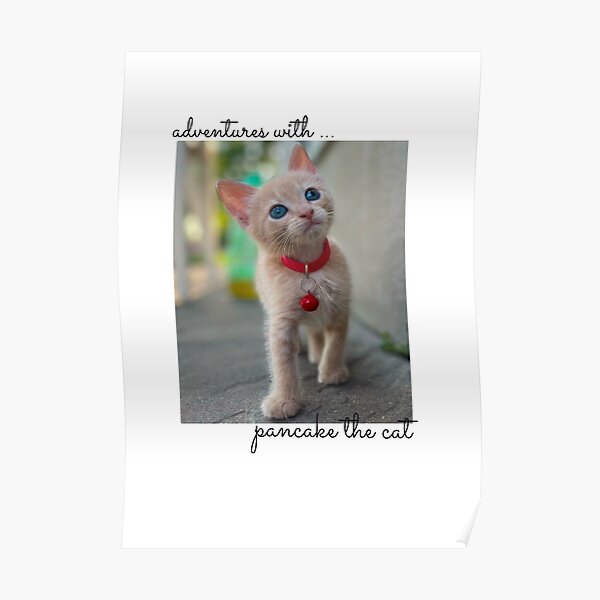 "Adventures with pancake the cat" Poster for Sale by BehindBoe Redbubble