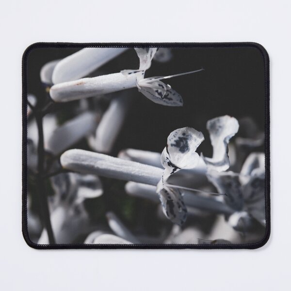 Item preview, Tiny Trumpets designed and sold by akiobsession.