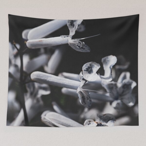 Item preview, Tiny Trumpets designed and sold by akiobsession.