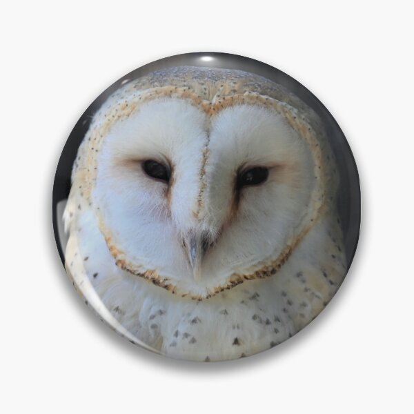 Item preview, Owl designed and sold by KBarrett-ForAwe.