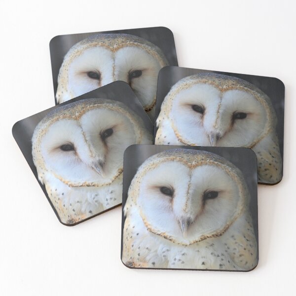 Item preview, Owl designed and sold by KBarrett-ForAwe.