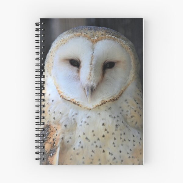 Item preview, Owl designed and sold by KBarrett-ForAwe.