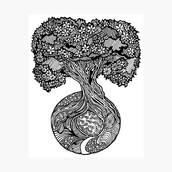 Tree of Eden Photographic Print