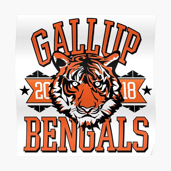 GO BENGALS GO! | Poster