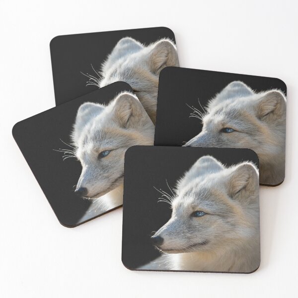 Item preview, Arctic Fox Wildlife Photography designed and sold by AishamPhoto.