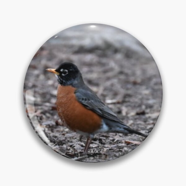 Item preview, Robin designed and sold by KBarrett-ForAwe.