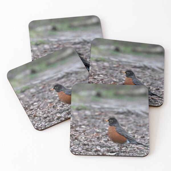 Item preview, Robin designed and sold by KBarrett-ForAwe.
