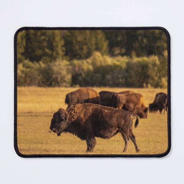 Item preview, American Bison designed and sold by jakman202.