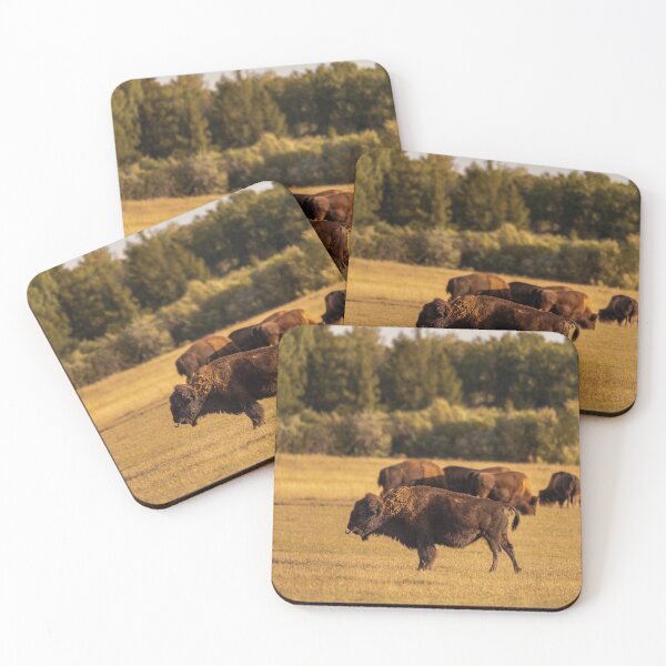 Item preview, American Bison designed and sold by jakman202.