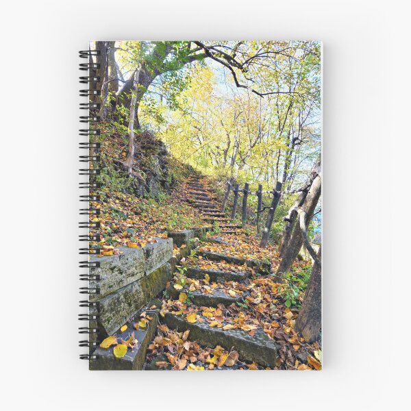 Item preview, Autumn Steps 2 designed and sold by LynyrdSky.