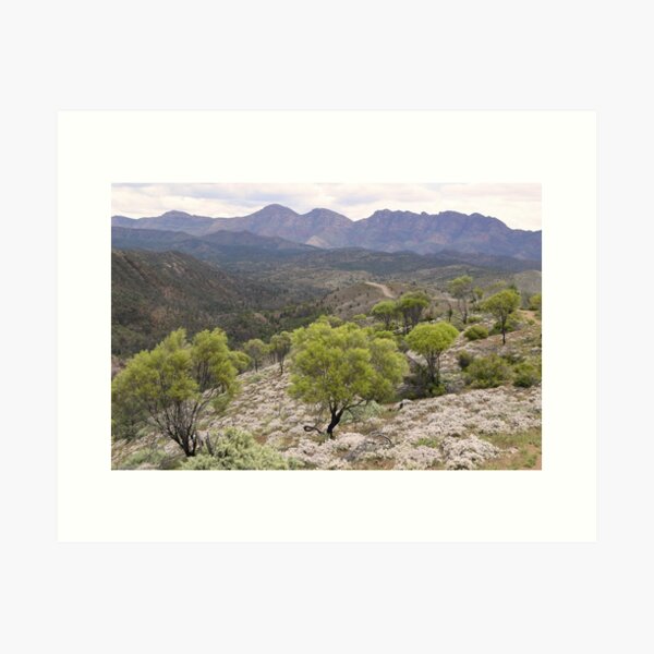 Item preview, Razorback Lookout, Flinders Ranges. designed and sold by Lorraine McCarthy.