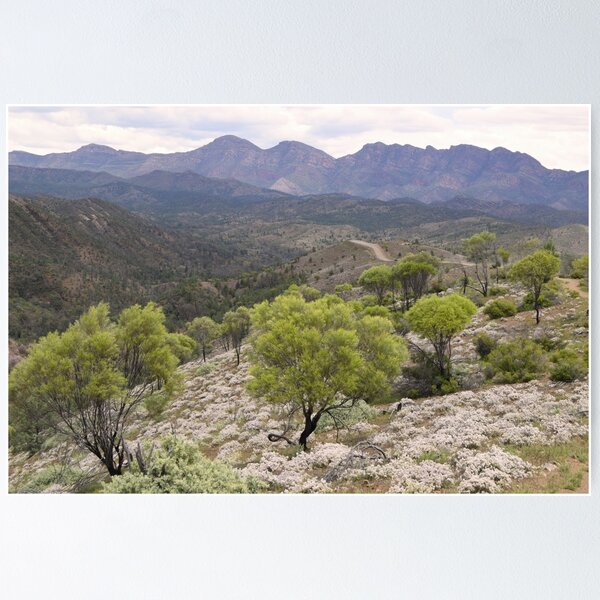 Item preview, Razorback Lookout, Flinders Ranges. designed and sold by Lorraine McCarthy.