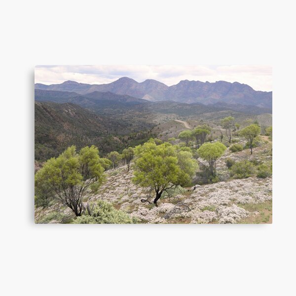 Item preview, Razorback Lookout, Flinders Ranges. designed and sold by Lorraine McCarthy.