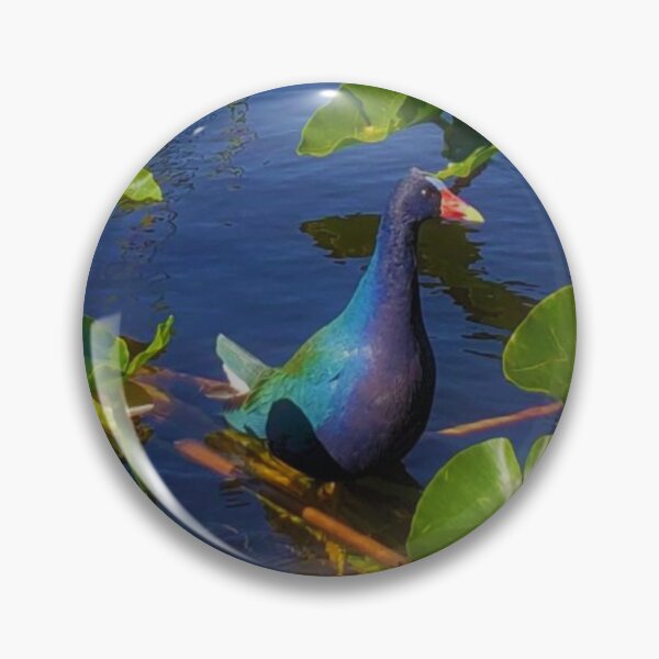 Item preview, Awe in the Everglades designed and sold by KBarrett-ForAwe.