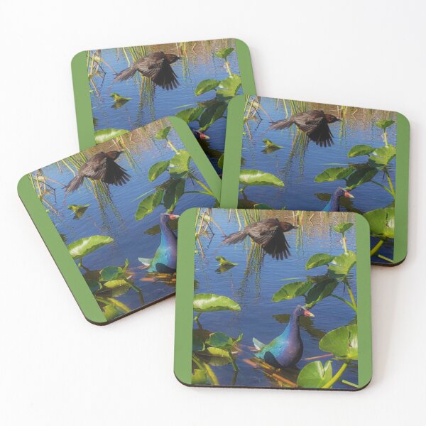 Item preview, Awe in the Everglades designed and sold by KBarrett-ForAwe.
