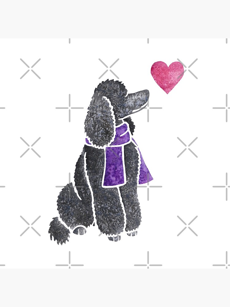 Watercolour Poodle by animalartbyjess